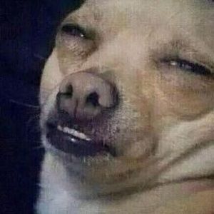 Meet your Posher, Mackey